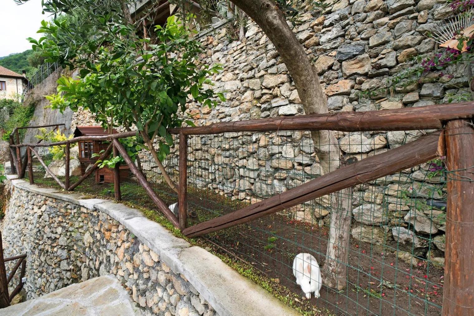 Agriturismo U'Spigu Nonna Annetta Nasino Exterior photo